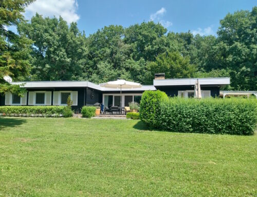 Liebe auf den ersten Blick! Mid-Century-Bungalow in sonniger Grünruhelage